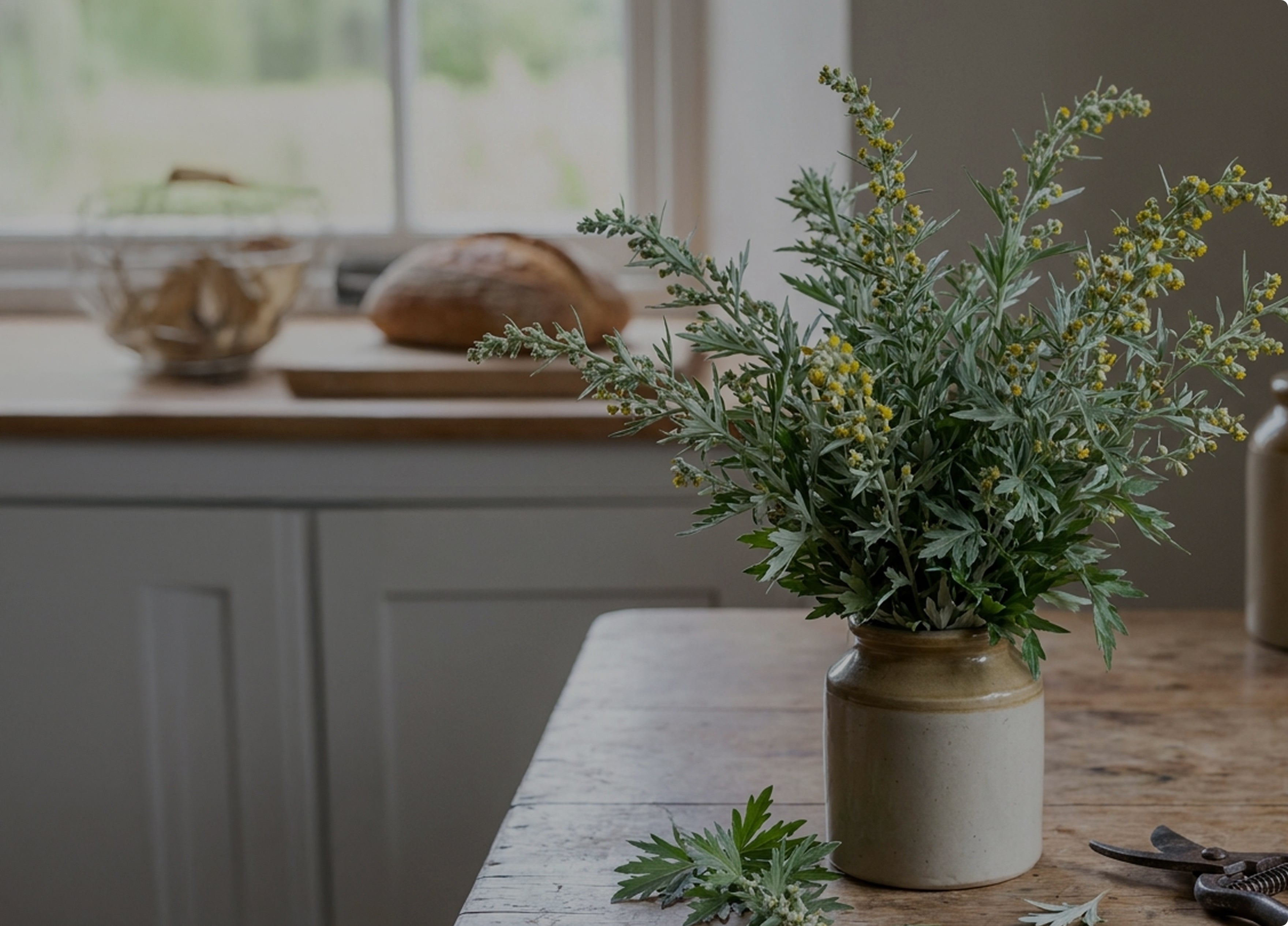 Artemisia Herb