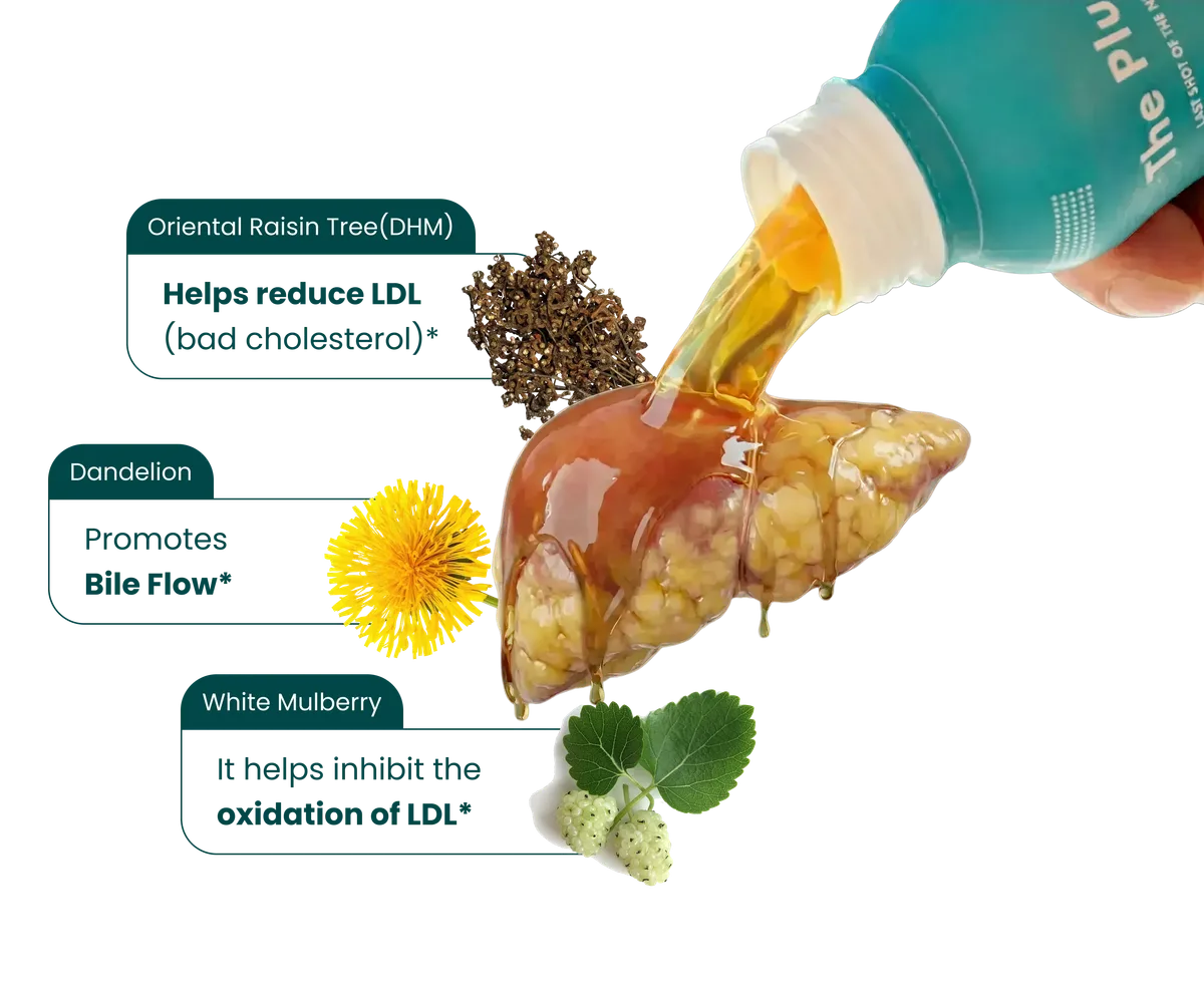 The Plant-Based Solution<br><span>to High Cholesterol.</span>