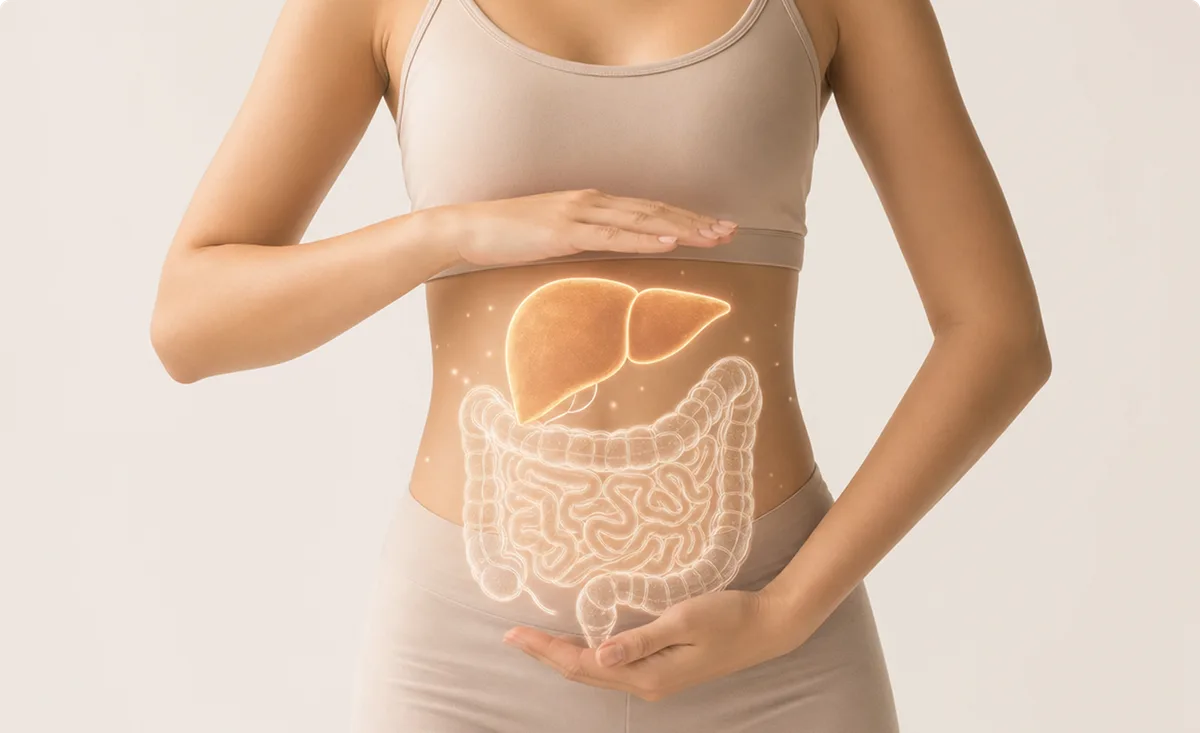 Gut Health & Digestion