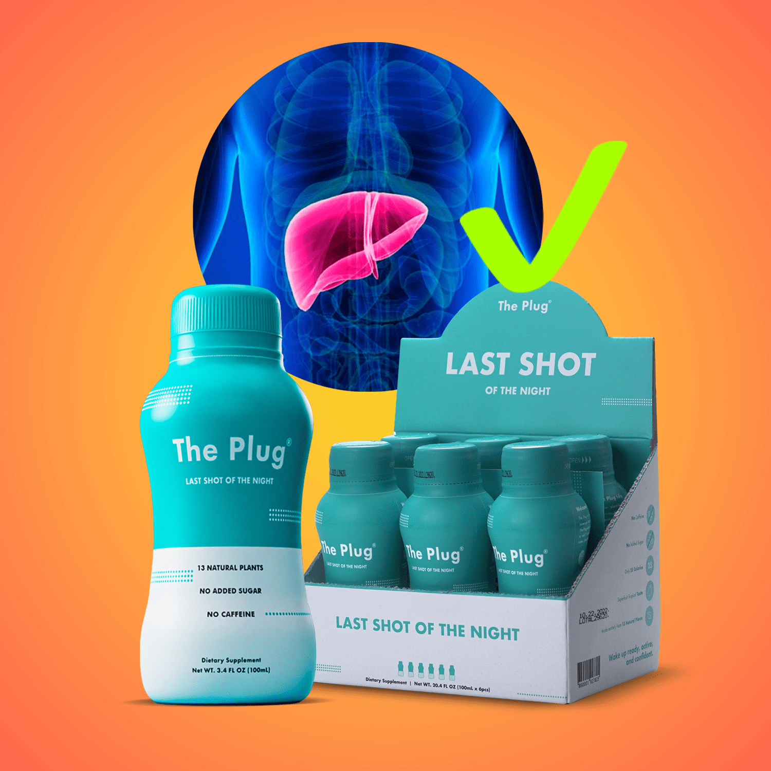 Liver Support Drink Plant Based WA - The Plug Drink