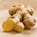 Ginger