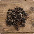 Oriental Raisin Tree (DHM)