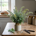 Artemisia Herb