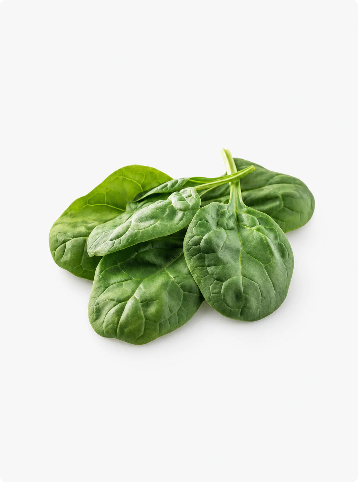 Vitamin b2 (Riboflavin) 