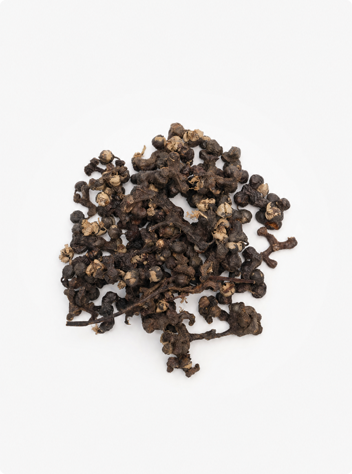 Oriental Raisin Tree (DHM)