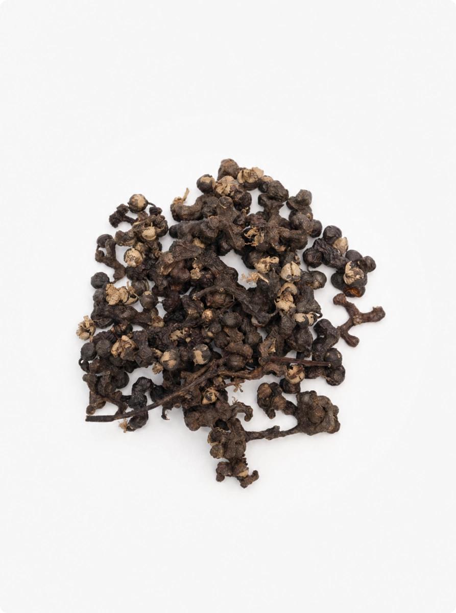 Oriental Raisin Tree (DHM)