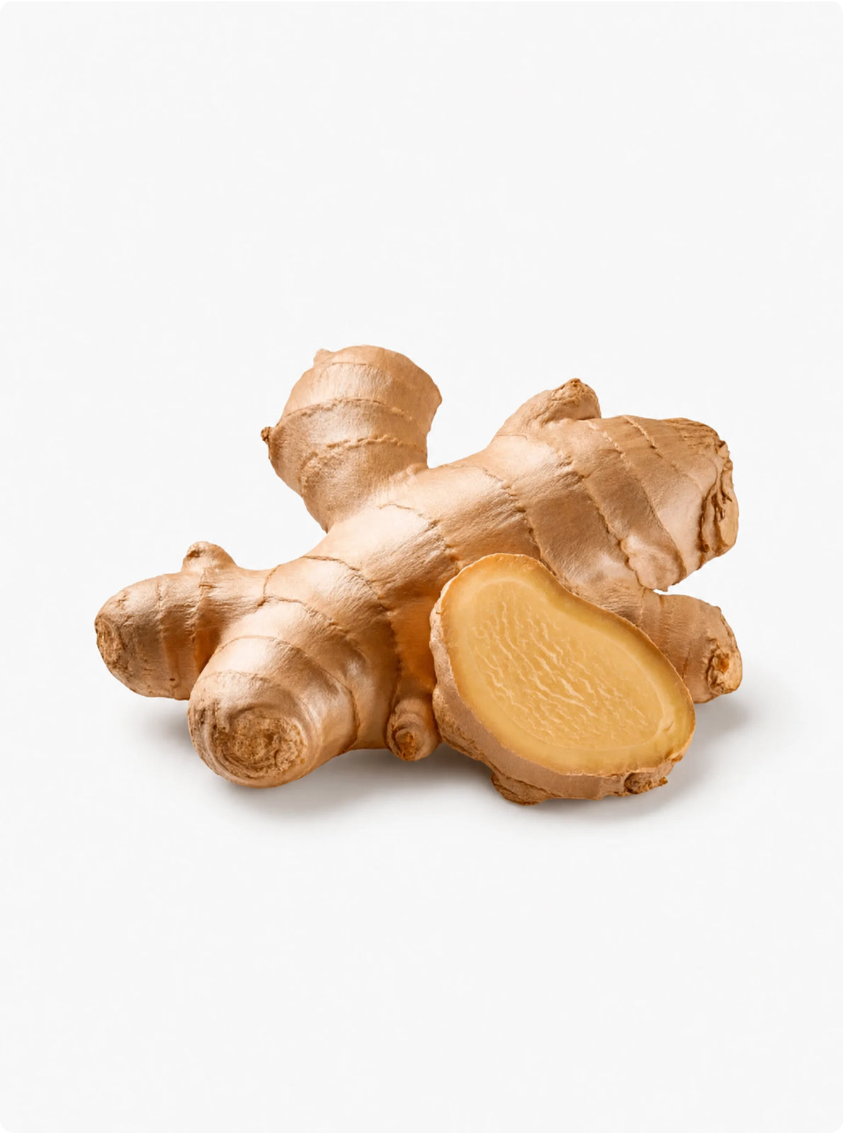 Ginger