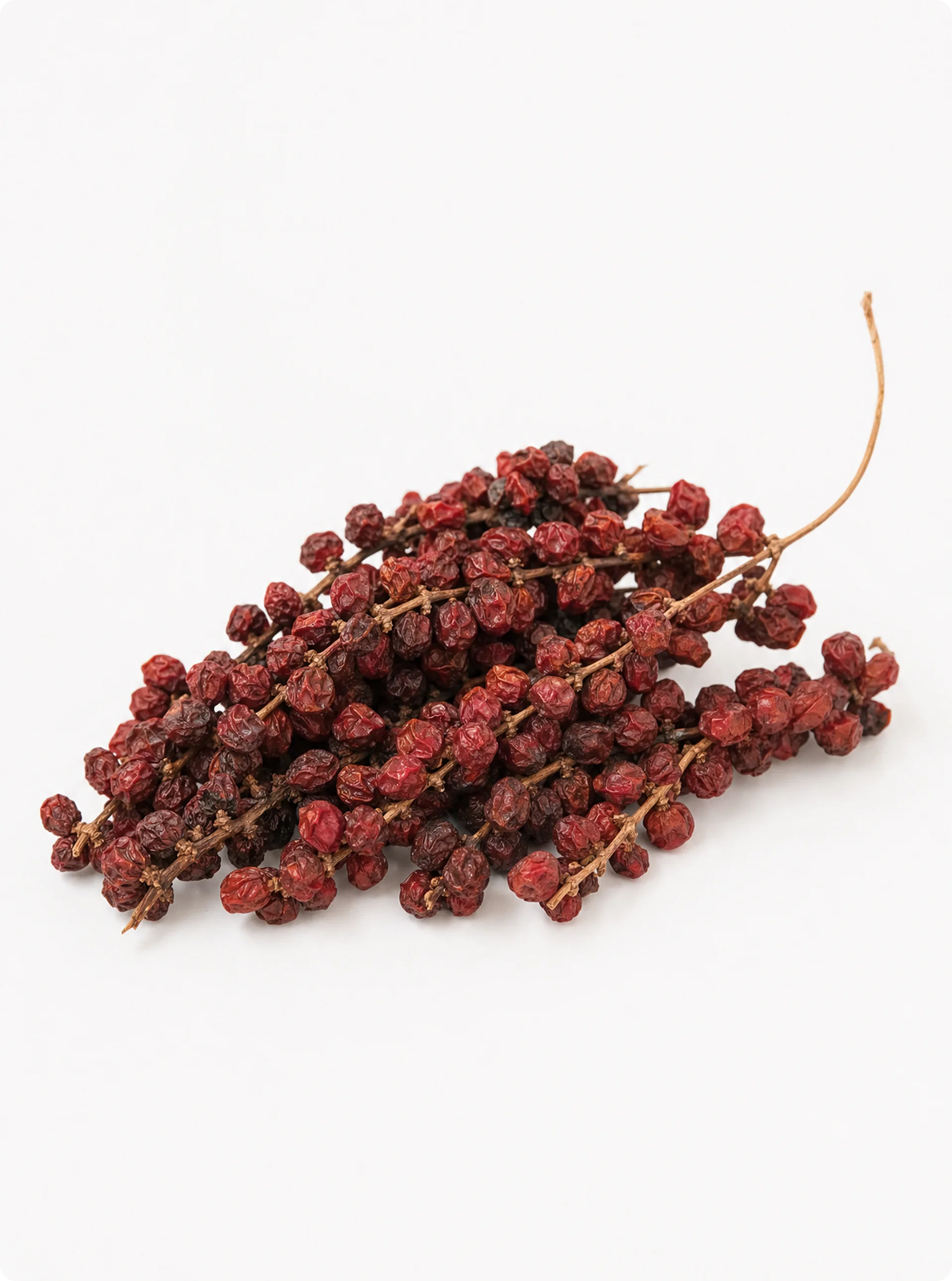 Schisandra