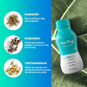 The Plug Drink - Gut Health