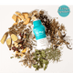 Plant-Based Sports Drink | The Plug Drink - The Plug Drink