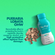 Liver Support Supplements - The Plug Drink