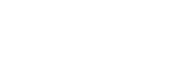 The Plug